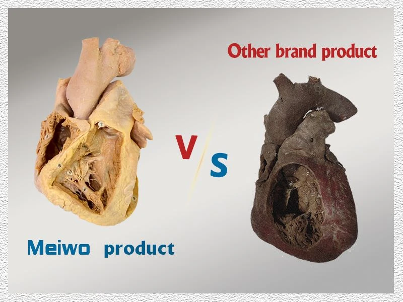 Quality Comparison Quality Comparison
