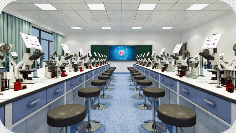 medical morphology teaching system medical morphology teaching system